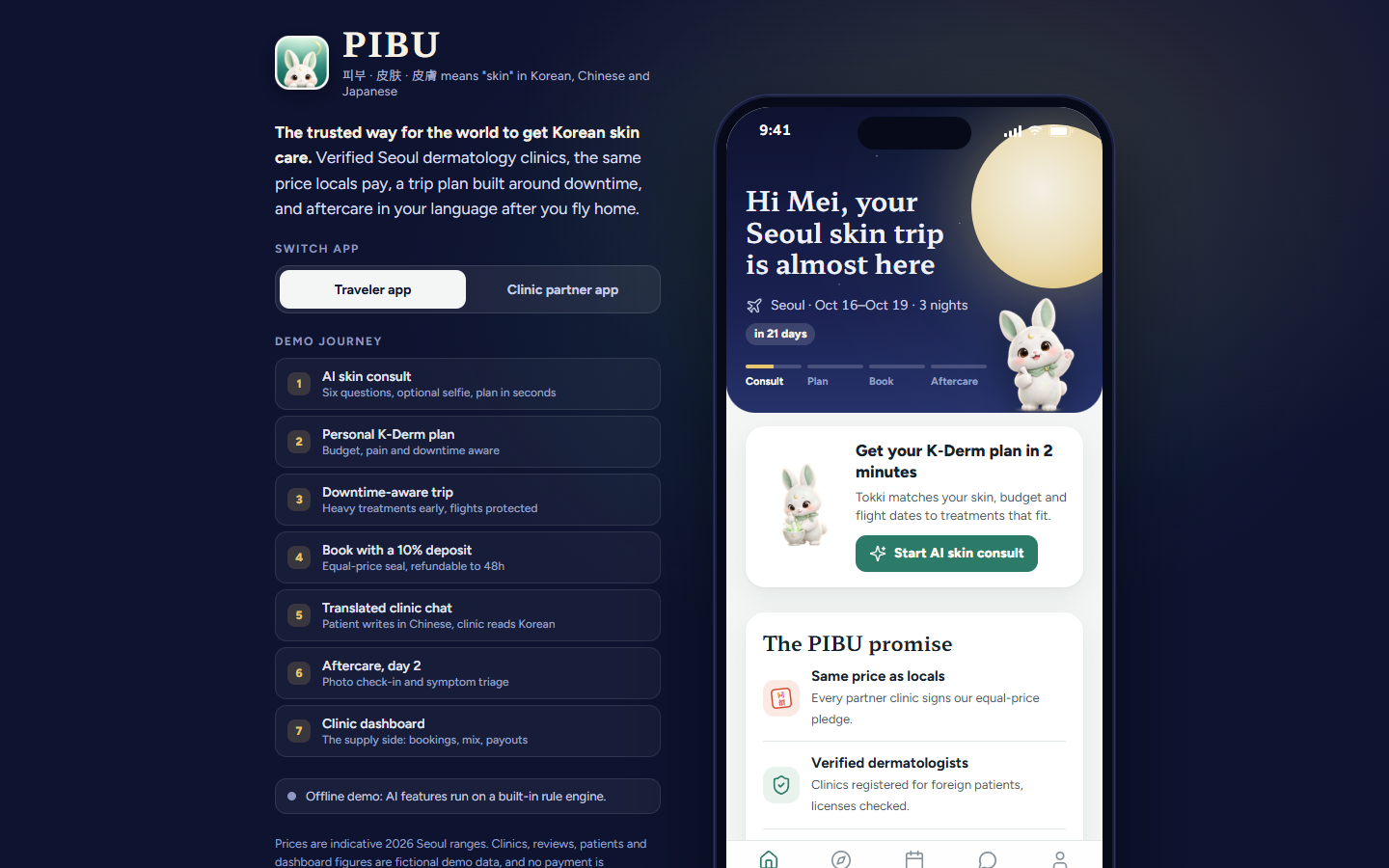 PIBU 실제 화면